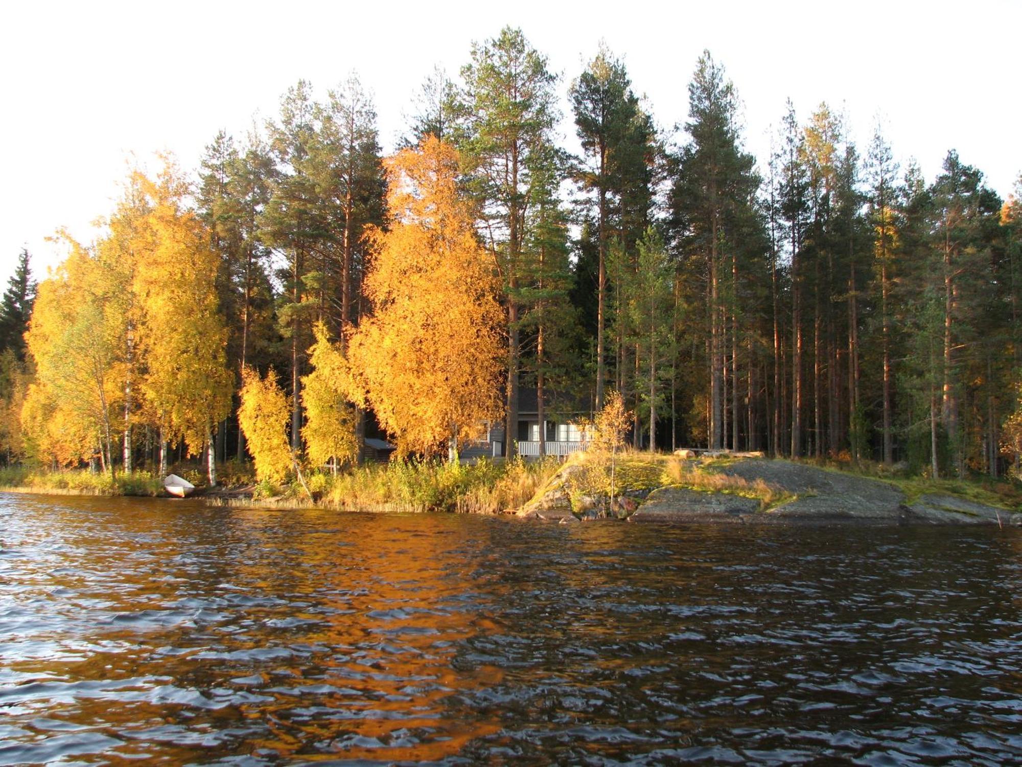 Lomamokkila Cottages Savonlinna Oda fotoğraf