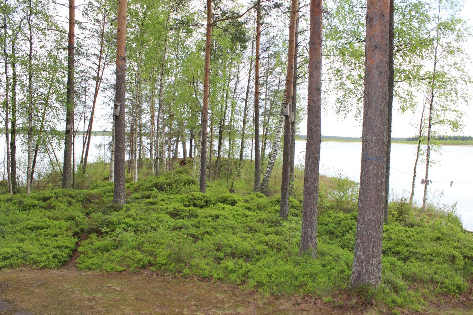 Lomamokkila Cottages Savonlinna Oda fotoğraf